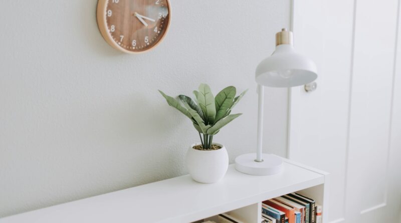 green plant on white pot beside white study lamp